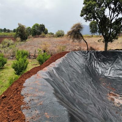 Geomembrana in HDPE in stile cinese per l'acquacoltura