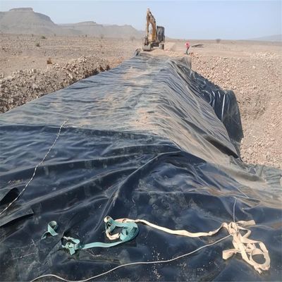 Geomembrana in HDPE in stile cinese per l'acquacoltura