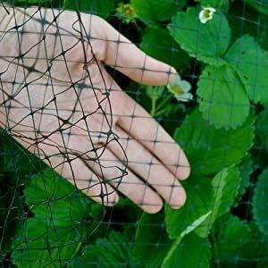 Rete antiuccello PP UV-trattata a colori personalizzati per allevamenti di polli e stagni di pesci da giardino