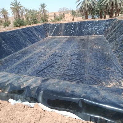 Geomembrana in HDPE nero 1 mm per stagno agricolo impermeabile 0,5 mm 0,75 mm 1,5 mm