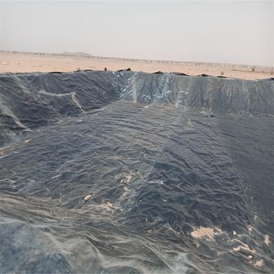 Geomembrana in HDPE nero 1 mm per stagno agricolo impermeabile 0,5 mm 0,75 mm 1,5 mm