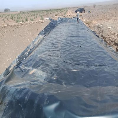 Geomembrana in HDPE nero 1 mm per stagno agricolo impermeabile 0,5 mm 0,75 mm 1,5 mm
