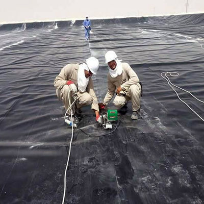 Stagno di rivestimento in geomembrana in PVC HDPE LDPE LLDPE per acquario di gamberetti in Indonesia