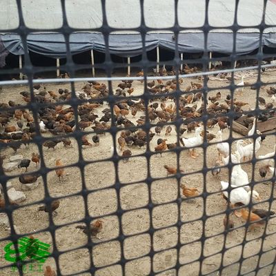 Geogrid nera geotessile non tessuta biassiale di plastica con cucitura antincrocio Geogrid per pavimenti asfaltati