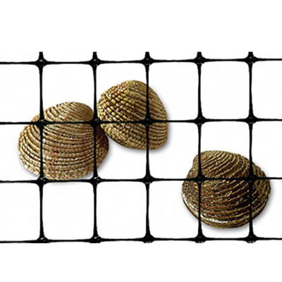 40-40kn PP Biassiale Geogrid di plastica per la costruzione stradale e il rinforzo delle fondamenta