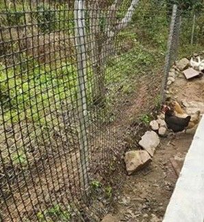 PP 3030KN Griglia biassiale per la protezione delle pendici nelle costruzioni stradali