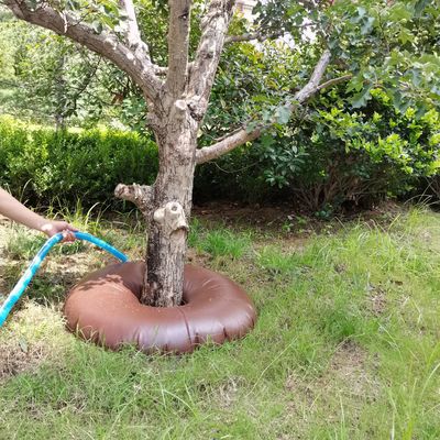 15/20 galloni di sacchetto per l'irrigazione di alberi in PVC La soluzione definitiva per gli alberi appena piantati