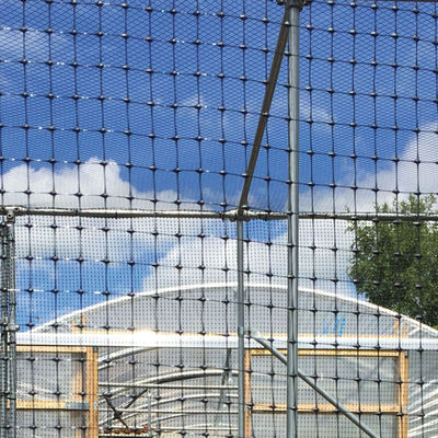 PP Biassiale Geogrid 40kn per il rinforzo stradale Elite vendita nera di formazione stradale Geo Grids