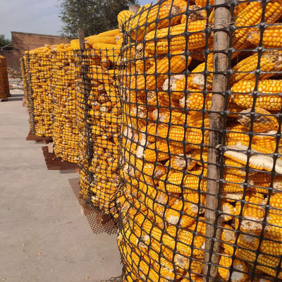 PP Biassiale Geogrid 40kn per il rinforzo stradale Elite vendita nera di formazione stradale Geo Grids