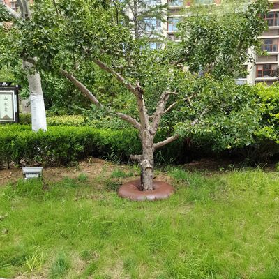 15 galloni di PVC bag per l'irrigazione degli alberi portatile e durevole per l'irrigazione a goccia a rilascio lento