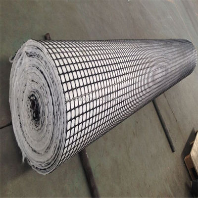 PP Geogrid composito di plastica per animali domestici Geotessili non tessuti per il rinforzo di ponti e gallerie