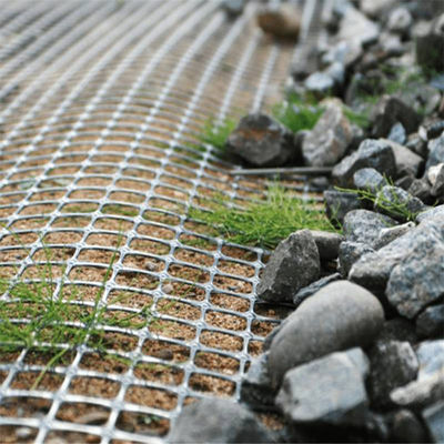 80-80 Geogrid di PET per la solidificazione del pavimento stradale e la formazione in loco