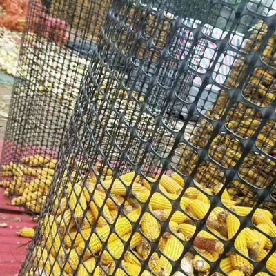 1-6m di larghezza Biassiale PP Polipropilene Geogrid Geotextile composito non tessuto per la base stradale