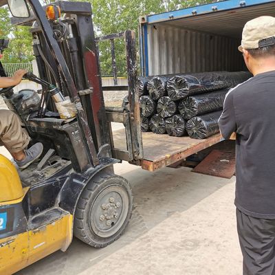 50KN Geogrid in fibra di vetro rivestita di bitume Il prodotto essenziale per il rinforzo delle strade