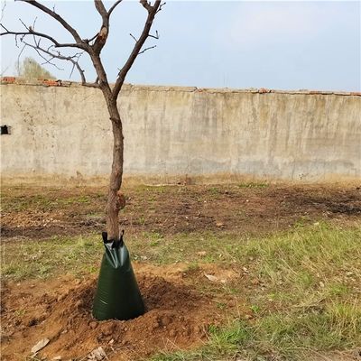 5 confezioni di sacchetti per l'irrigazione di alberi in PE su Ebay