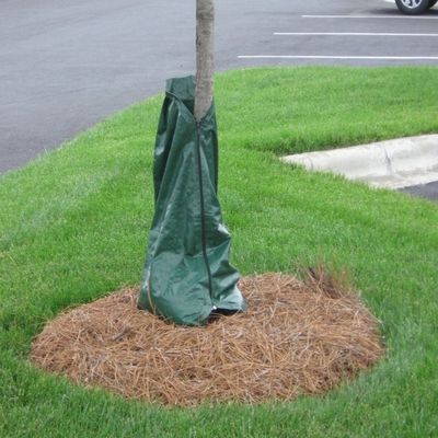 Sistema di irrigazione per alberi a rilascio lento per alberi riutilizzabile spessore 0,43 mm
