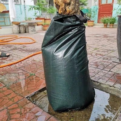 20 galloni di rilascio lento di PE verde scuro PVC bag per l'irrigazione efficace